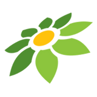 TOKOPEDIA